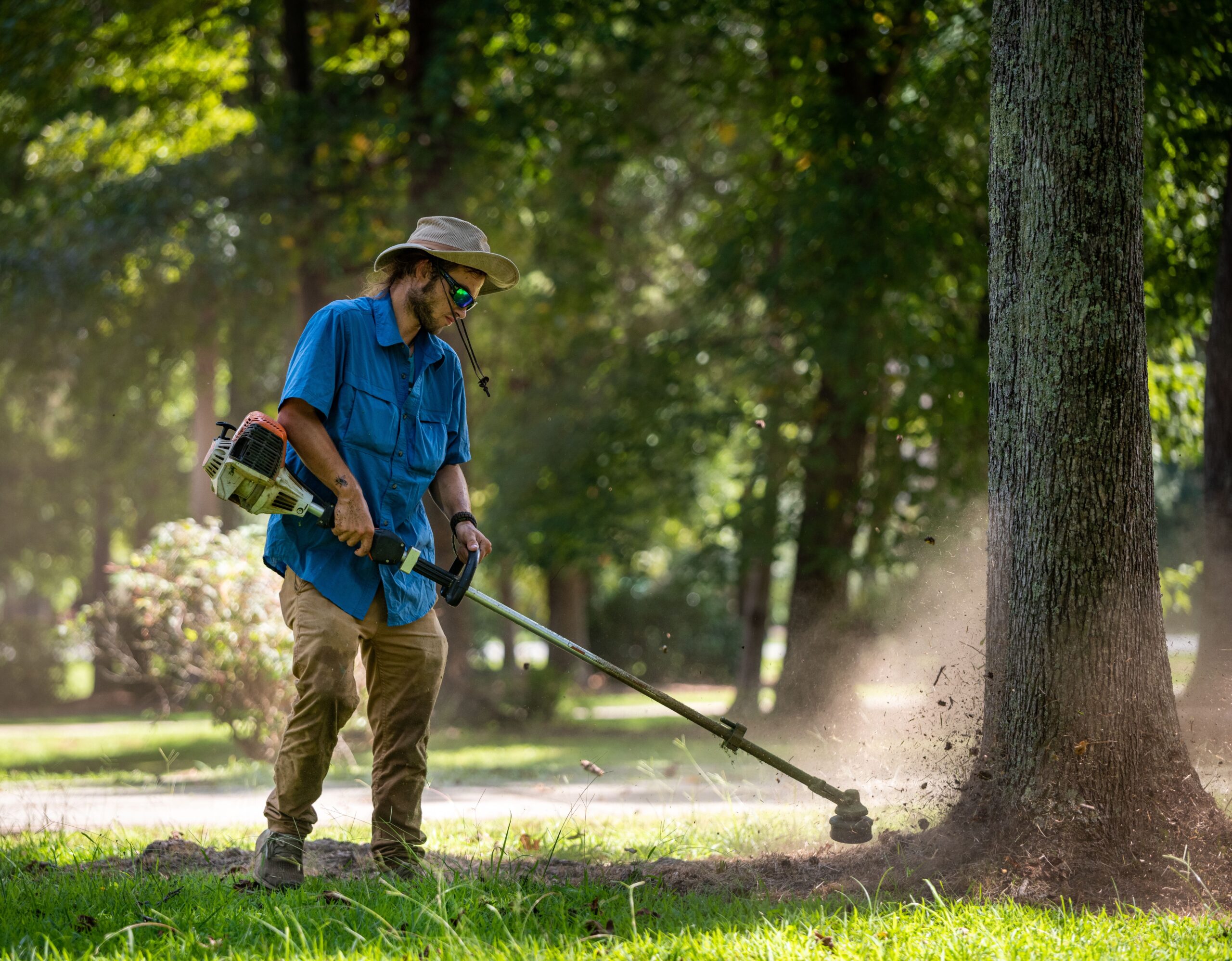 The Essential Summer Tree Care Checklist [2026]