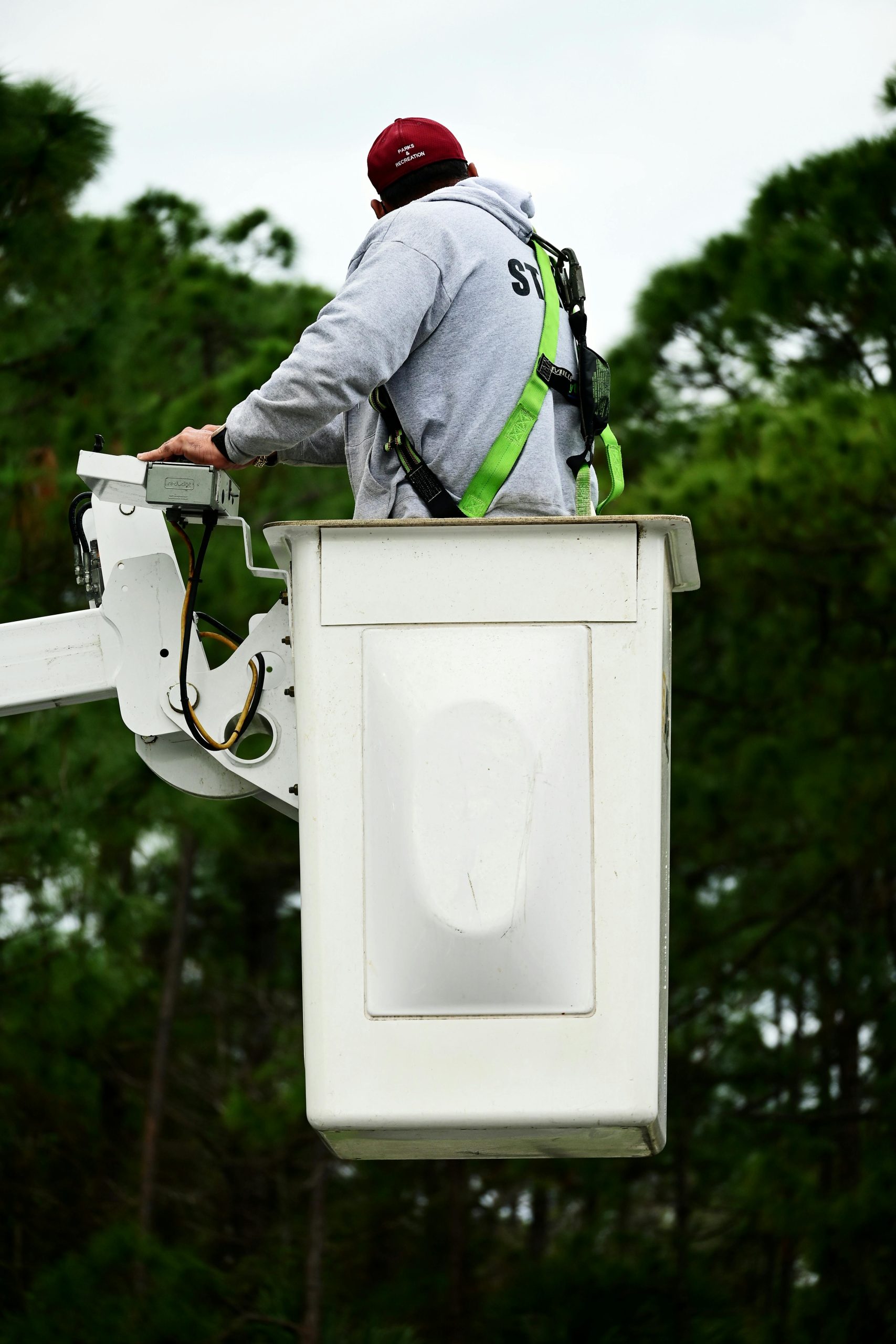 Tree Service
